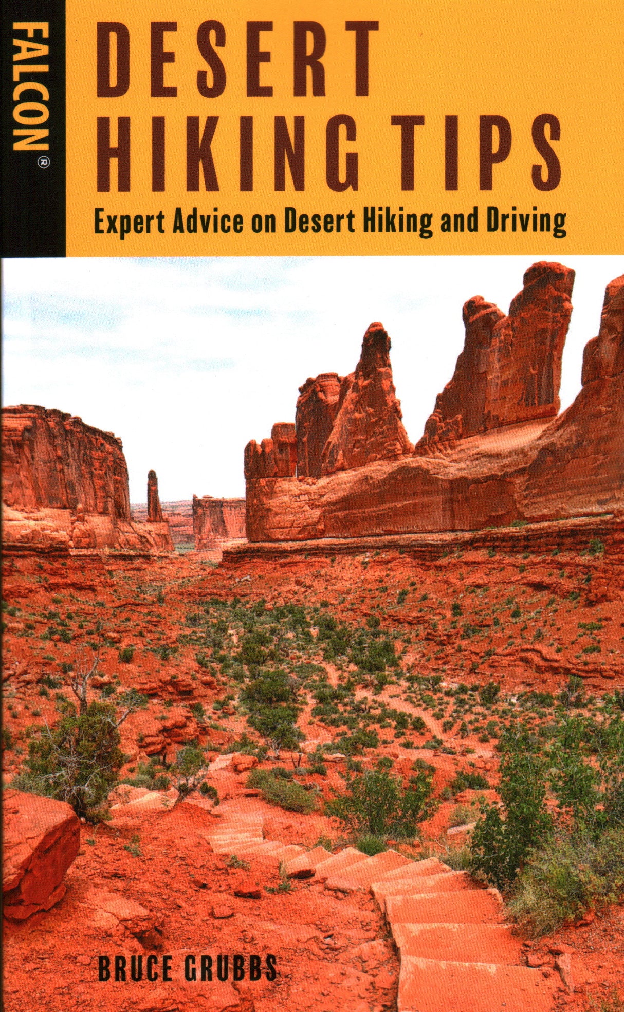 NATIONAL BOOK Desert Hiking Tips