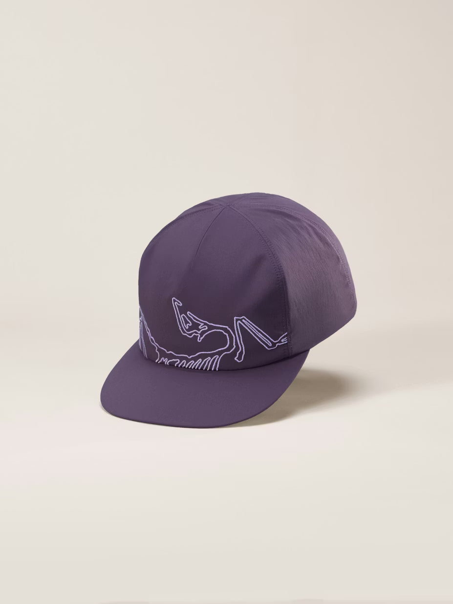 Arcteryx Silex Cap