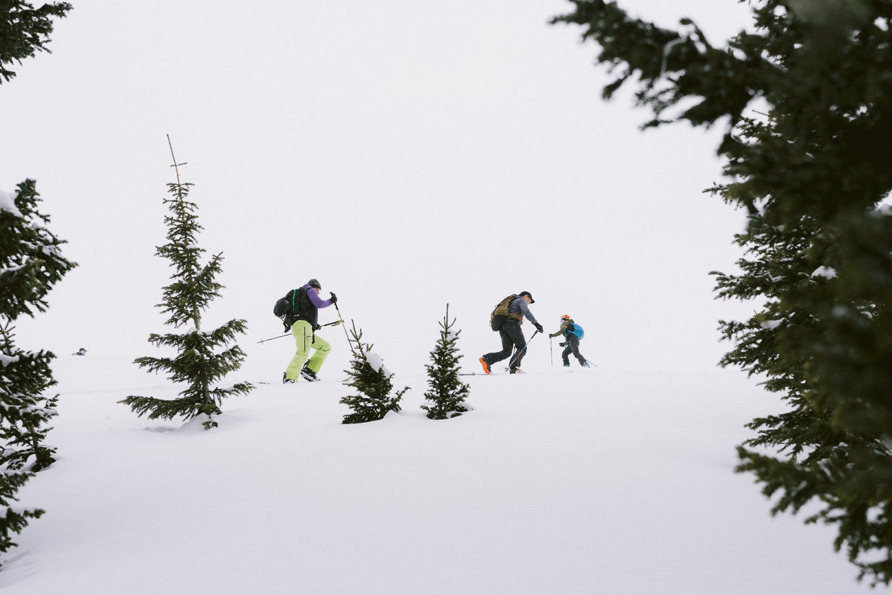 Skiing - Best backcountry ski selection | Neptune