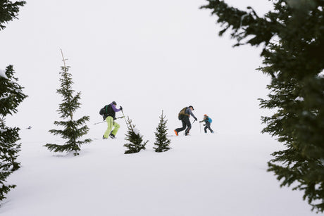 Skiing - Best backcountry ski selection | Neptune
