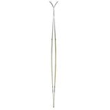 Amundsen BC Ski Grey / 170