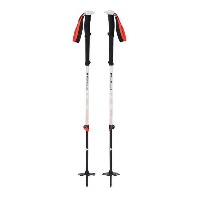 Black Diamond Expedition 2 Poles