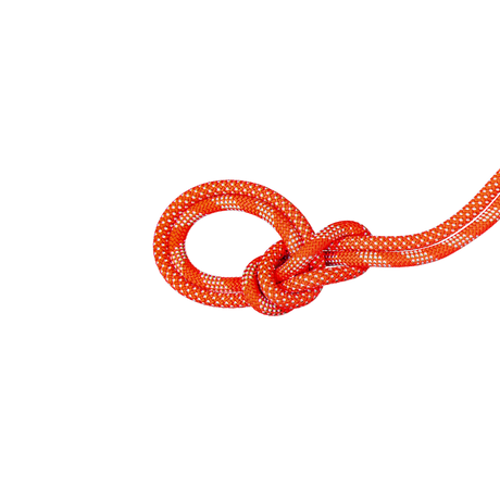 Mammut 9.8mm Crag Classic