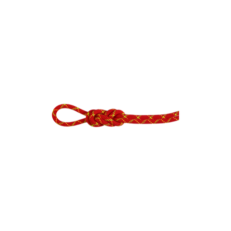 Mammut 8.0mm Alpine Core Protect Dry halo-vibrant orange / 60M