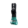 Black Diamond Hotforge Hybrid Quickdraw - 6pk. Clean Green