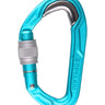 Edelrid Bulletproof Screwgate Locking Carabiner IceMint