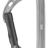Petzl Spirit Straight Carabiner Gray