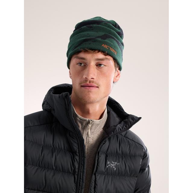 Arcteryx Grotto Toque Eden Black