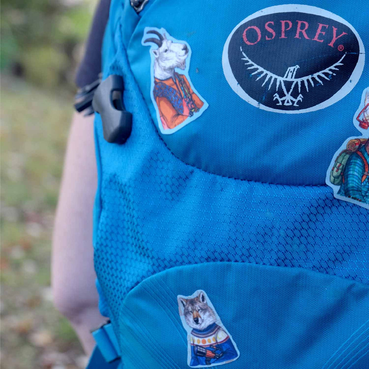 NOSO Patches Mountain Goat Climber