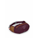 Osprey Seral 4 Purple