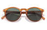 SUNSKI Dipsea Rust Forest